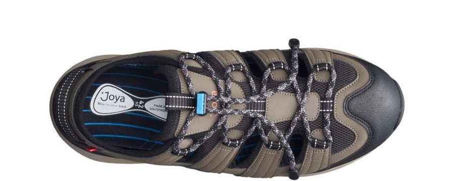 Like Ii ブラウンジュエル