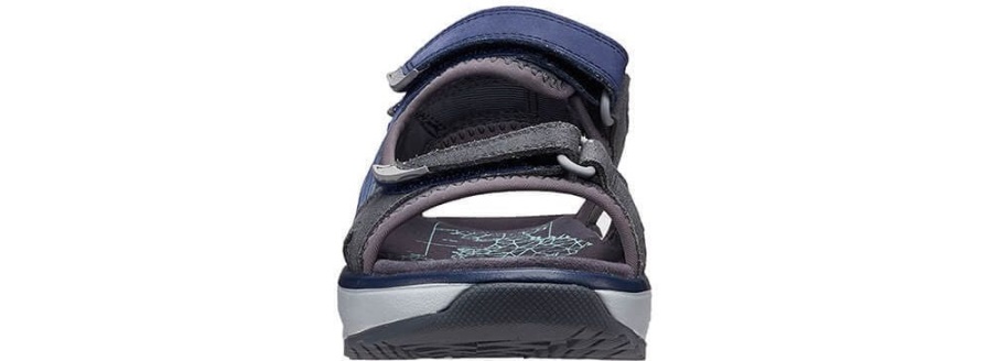 コモドグレー/ブルージョヤ