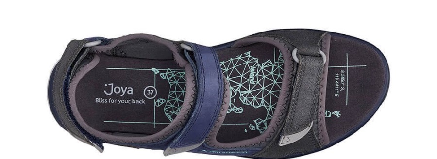 コモドグレー/ブルージョヤ