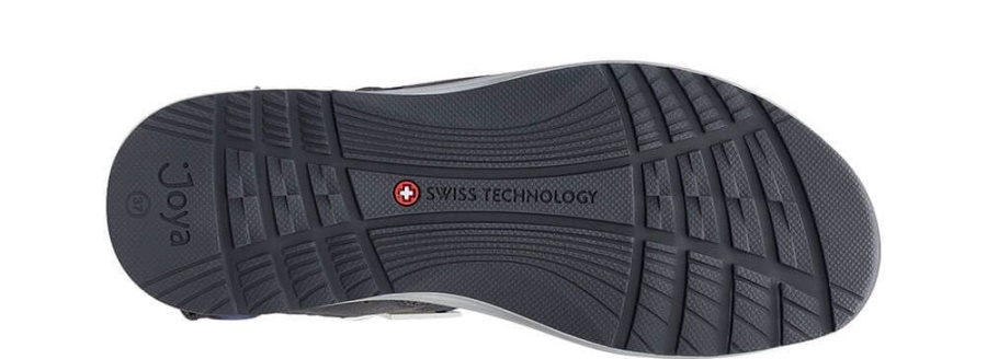 コモドグレー/ブルージョヤ