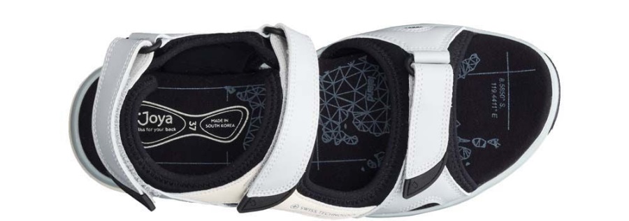 コモドライトブルー/ホワイトジョヤファッション