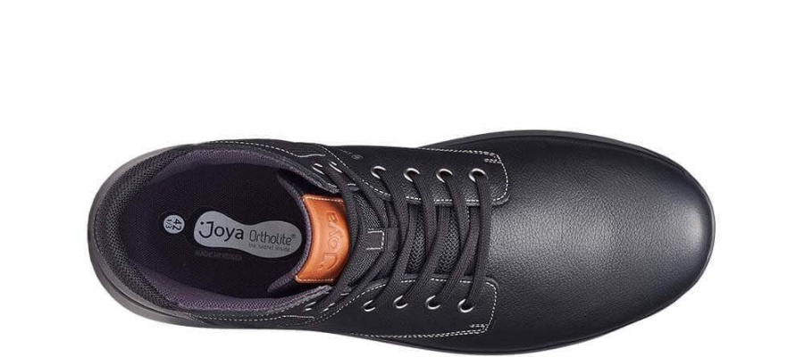 ルドルフ・ブラック・ジョヤ